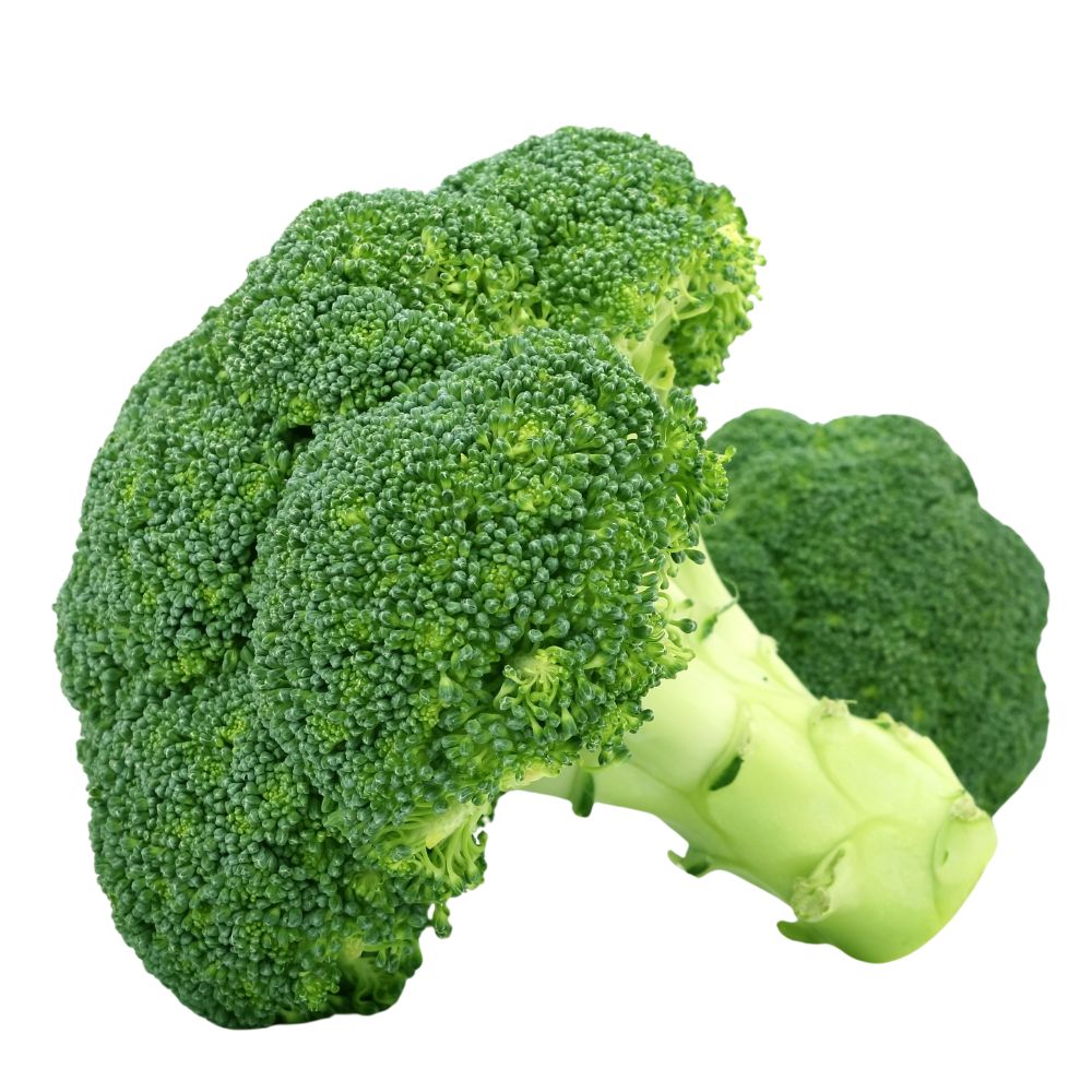 Broccoli