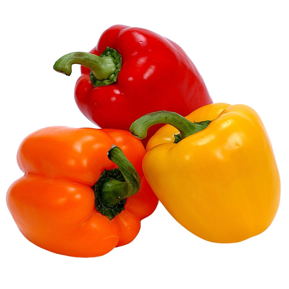 Bell pepper